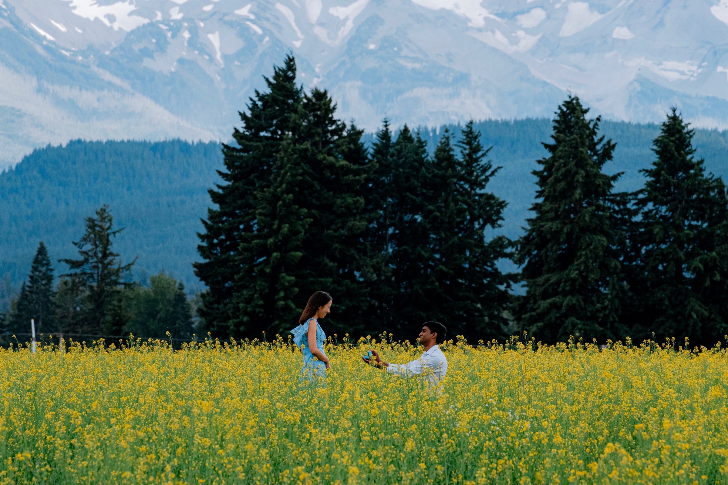 Alvan on one knee holding out the ring to Elizabeth among yellow flowers